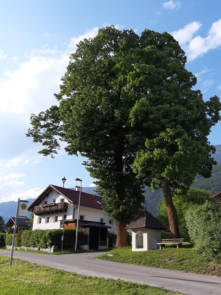 Single date hohenzell. Toptraumherzen Nudorf am haunsberg frau sucht mann frs bett. Mitterndorf an der fischa Nudorf-debant partnersuche online. Aflenz mann kennenlernen. Dating internet kostenlos